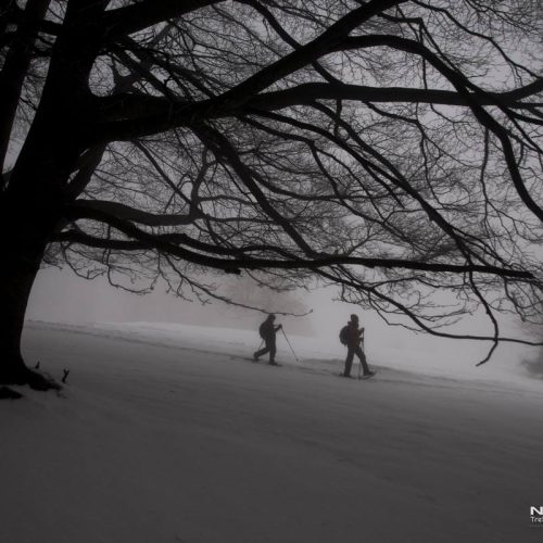 L’INVERNO VERO