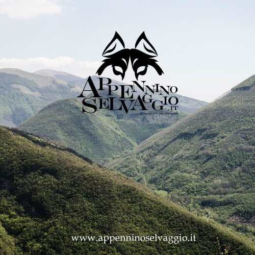 Appennino Selvaggio