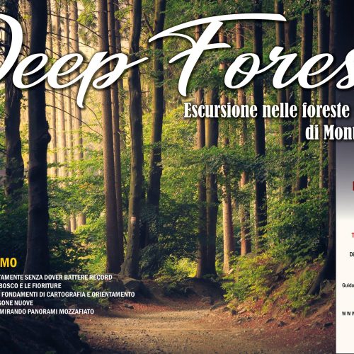 DEEP FOREST – ESCURSIONE NELLE FORESTE DI MONTE CUCCO – UMBRIA